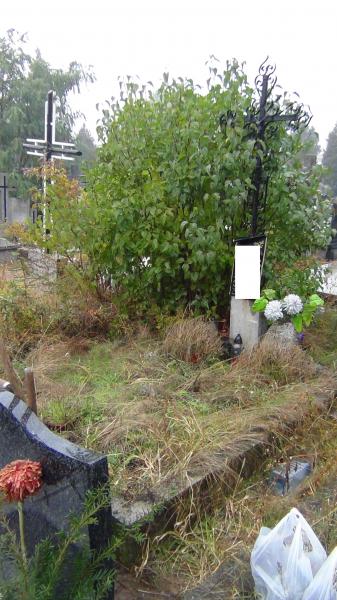 opieka nad grobami - Brwin�w - grób przed sprzątaniem