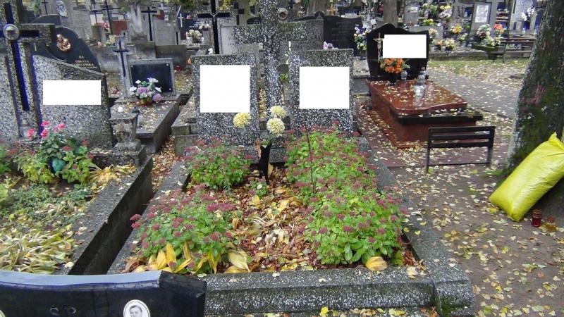 opieka nad grobami - Grodzisk Mazowiecki - grób przed sprzątaniem